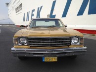 Photo for Buick Skylark S
