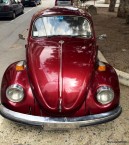Photo for Volkswagen Beetle 1302