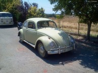 Photo for Volkswagen Beetle Kaefer